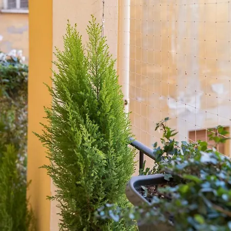 La Colombina Penzion Boloňa